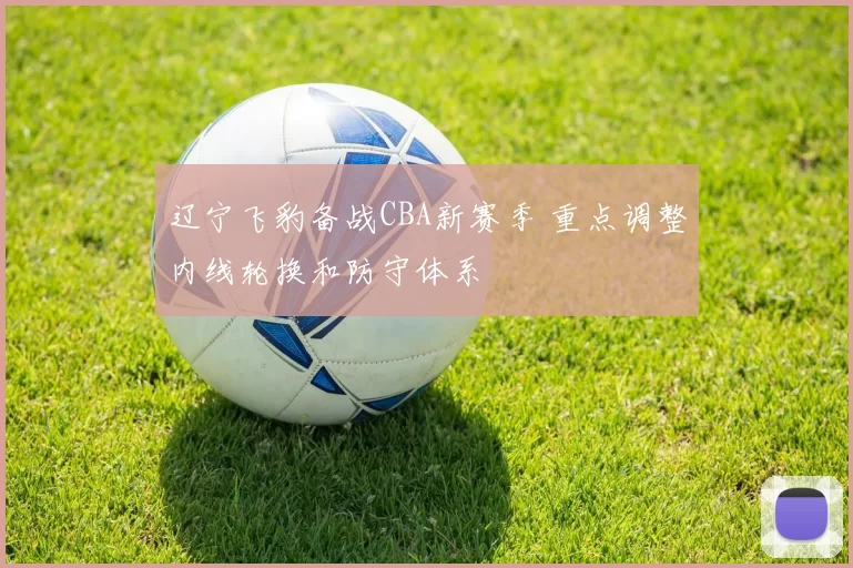 辽宁飞豹备战CBA新赛季 重点调整内线轮换和防守体系