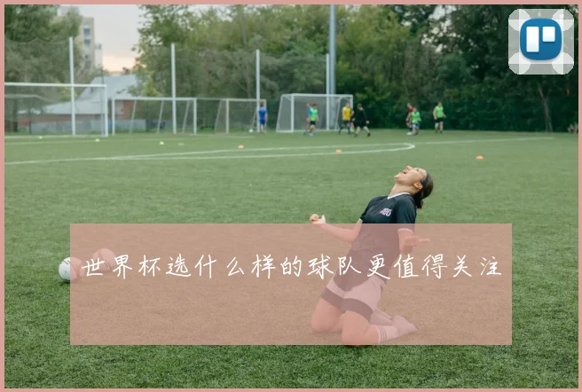 世界杯选什么样的球队更值得关注